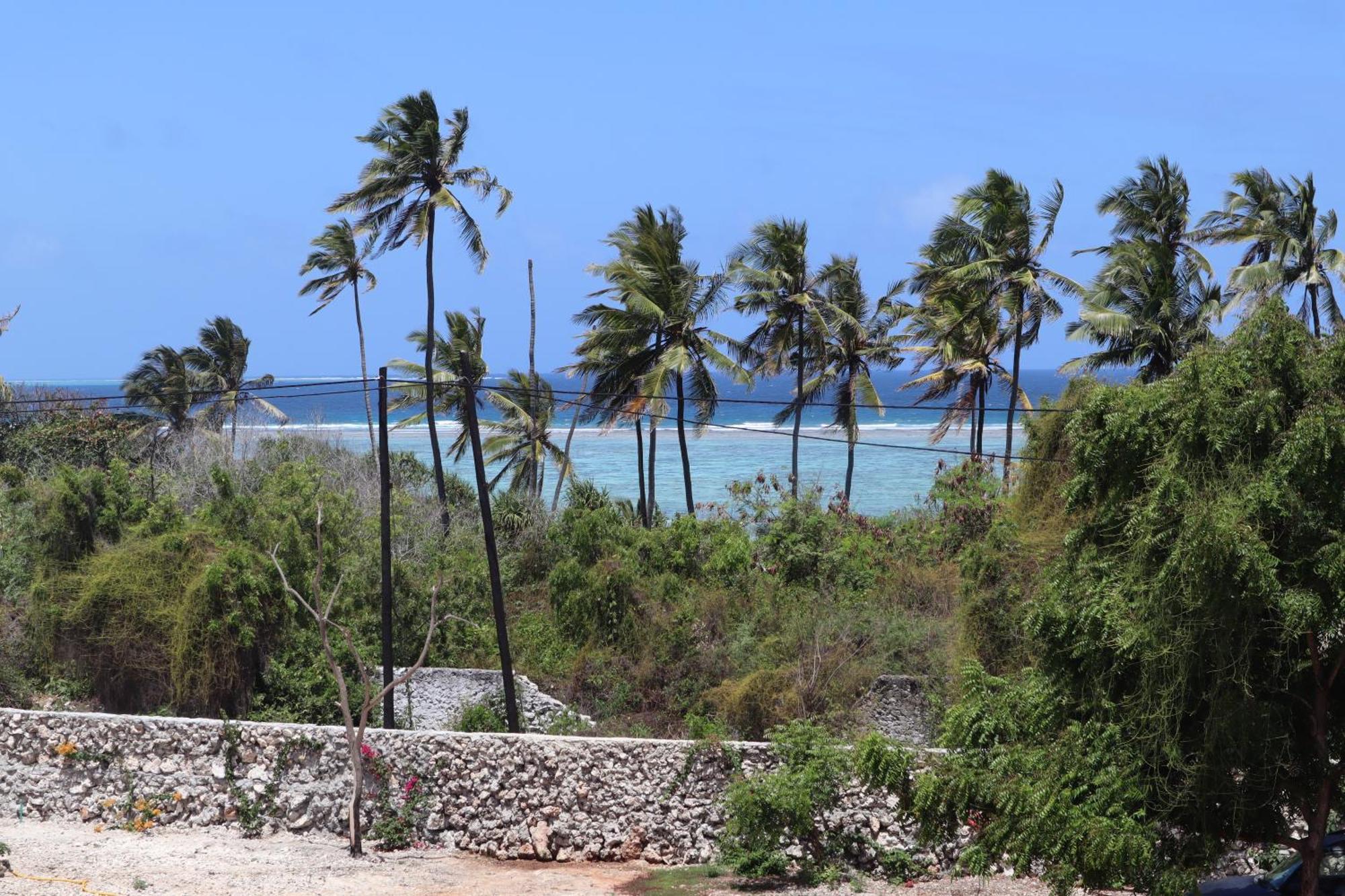 Holiday Time Bungalows Zanzibar マテムウェ エクステリア 写真