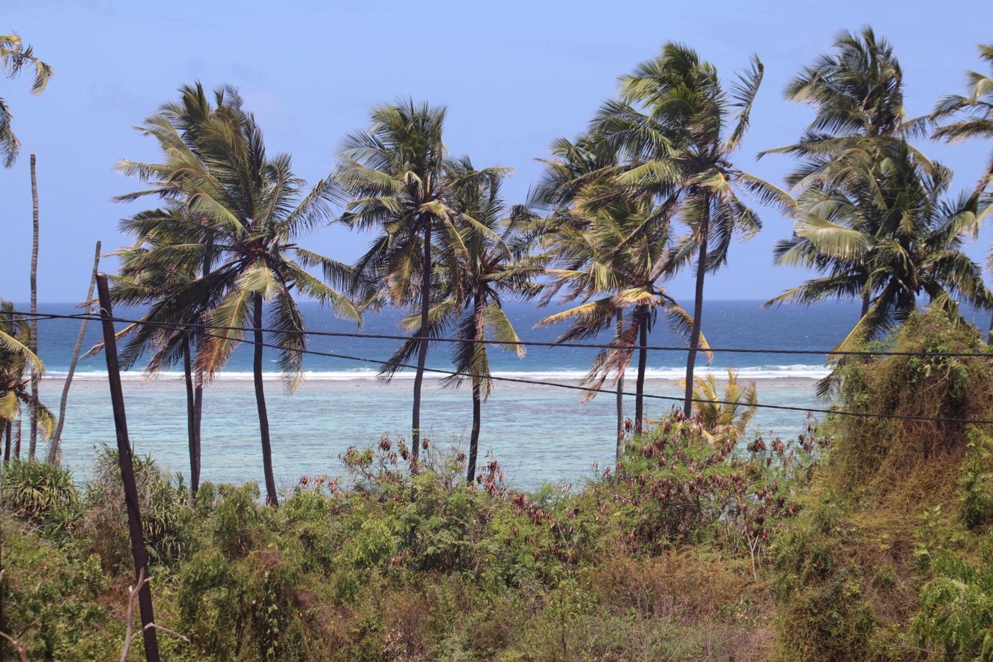 Holiday Time Bungalows Zanzibar マテムウェ エクステリア 写真